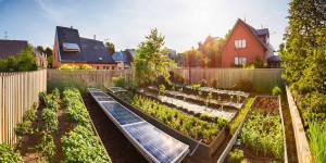 Perchè l'autosufficienza?